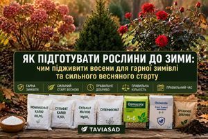 Как подготовить растения к зиме: чем подкормить их осенью для успешной зимовки и сильного весеннего старта