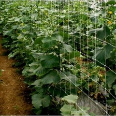 Сітка для огірків та плетючих рослин  Plant Net 2*20м 15*17см