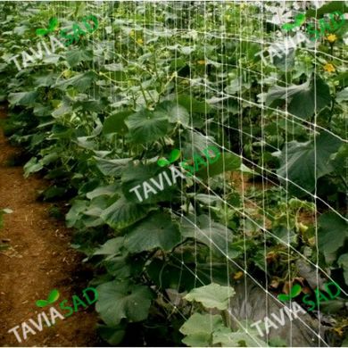 Сітка для огірків та плетючих рослин  Plant Net 2*20м 15*17см