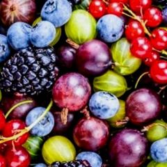 Удобрение для ягодных культур