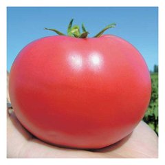 Семена томат Тарпан 10шт