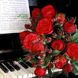 Троянда Піано 4л ПРЕМІУМ