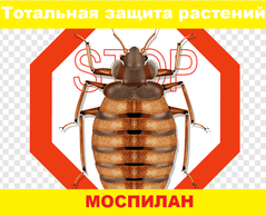 Инсектицид Моспилан 1 г (системного действия)