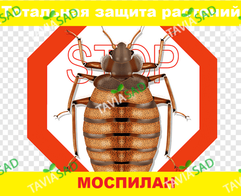 Инсектицид Моспилан 1 г (системного действия)