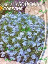 Семена Лобелия голубой ковёр