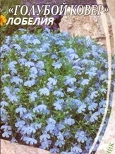 Семена Лобелия голубой ковёр